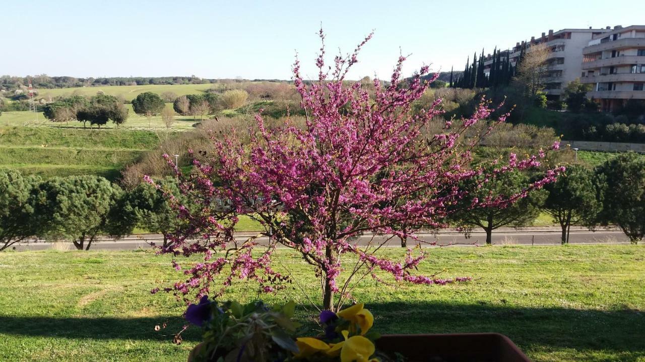 B&B Colline verdi Vitinia Buitenkant foto